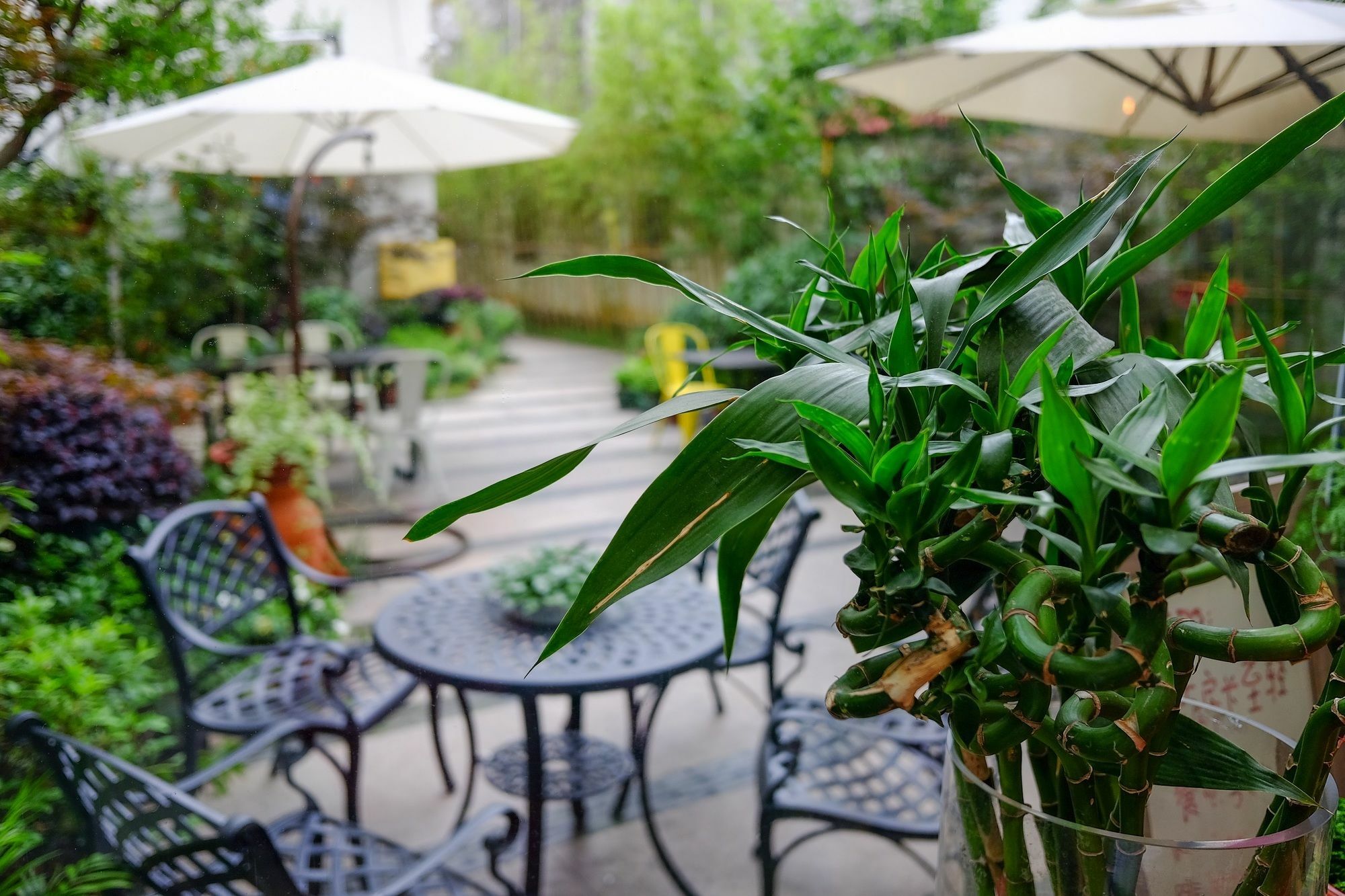 Suzhou Homa Garden Hotel Extérieur photo